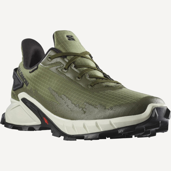 Кроссовки ALPHACROSS 4 GTX (RU 43.5 UK 10 USm 10.5 СМ 28; deep lichen green)